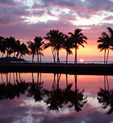 Hawaii Family trip photo
